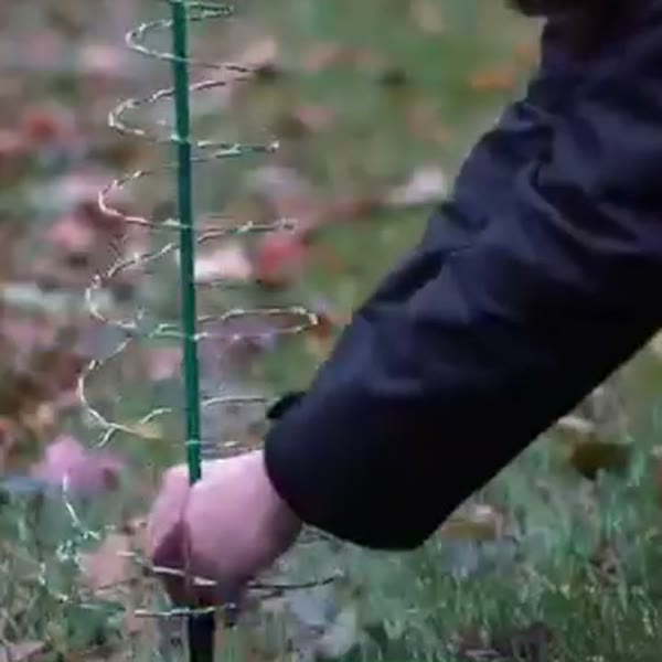 Mano clavando la estaca del árbol espiral en el pasto