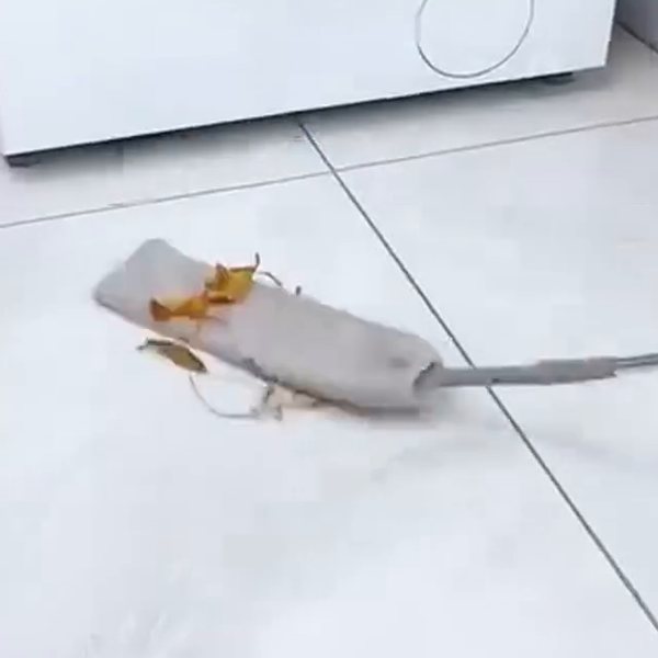 Plumero sacando la tierra de bajo un electrodoméstico